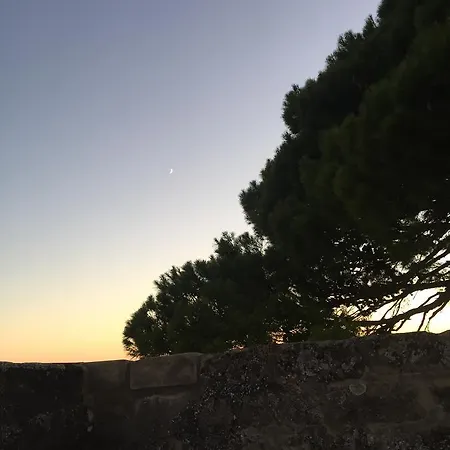 Tour Sarrazine De Bed & Breakfast Montaren-et-Saint-Mediers