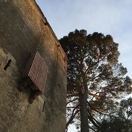 Tour Sarrazine De *