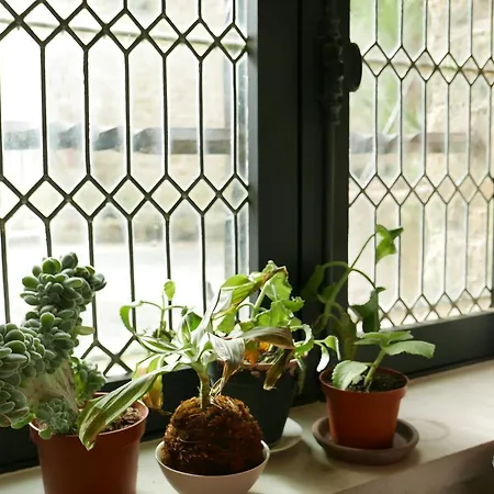 Tour Sarrazine De Bed & Breakfast